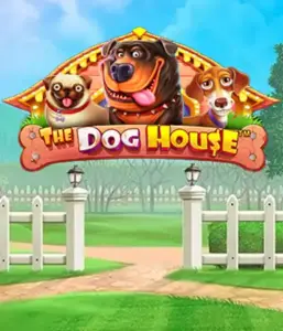 From Pragmatic Play comes The Dog House Slot, offering a delightful experience among lovable dogs. Enjoy features including multipliers, aimed at delivering joyful moments. Perfect for animal enthusiasts a lighthearted atmosphere and the opportunity to win big.